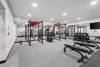 Free weights